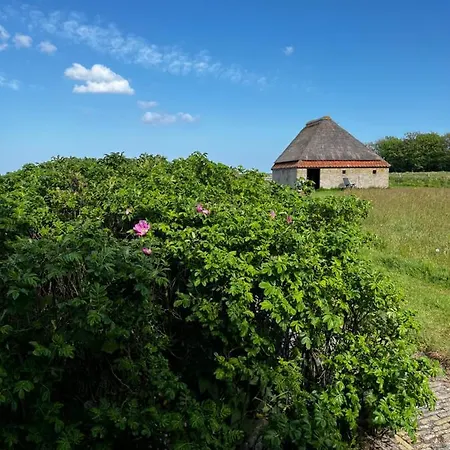 Zuid Haffel Villa Den Burg Exterior photo