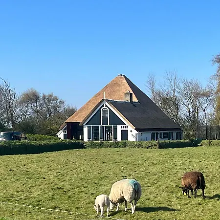Zuid Haffel Villa Den Burg Exterior photo